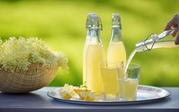 Elderflower syrup