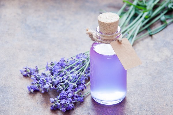 Lavender Syrup