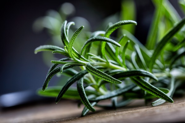 Rosemary