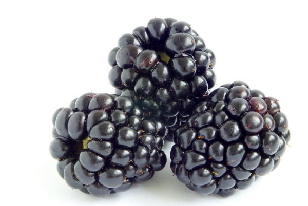 Blackberries